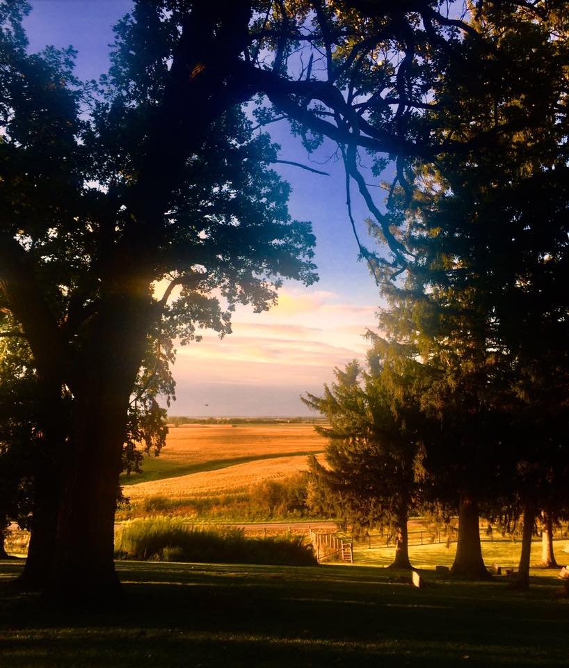 Rolling hills west of the farm.