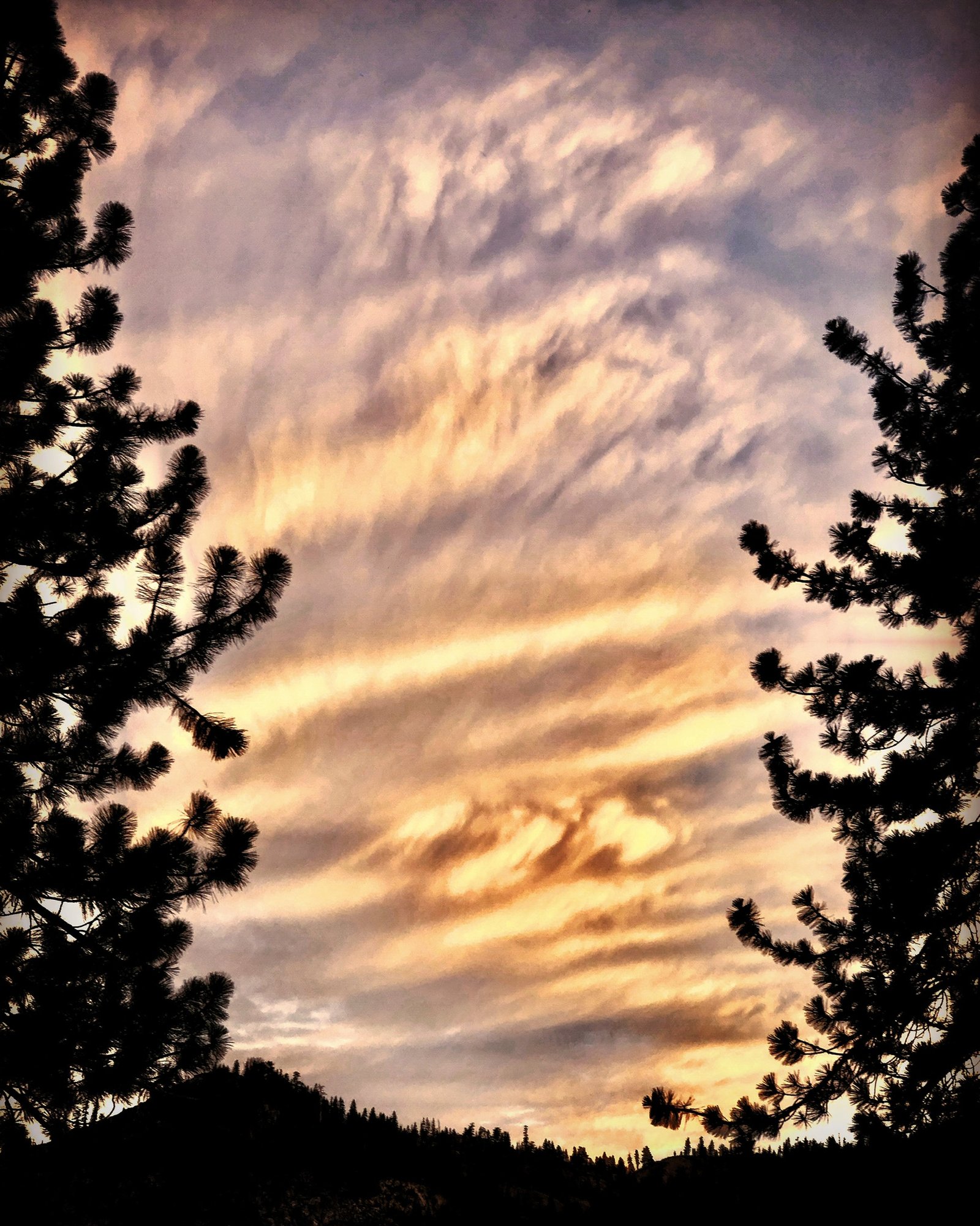Donner Pass. Chinatown. 23 July 19. Copyright, Alarice Multimedia, LLC.