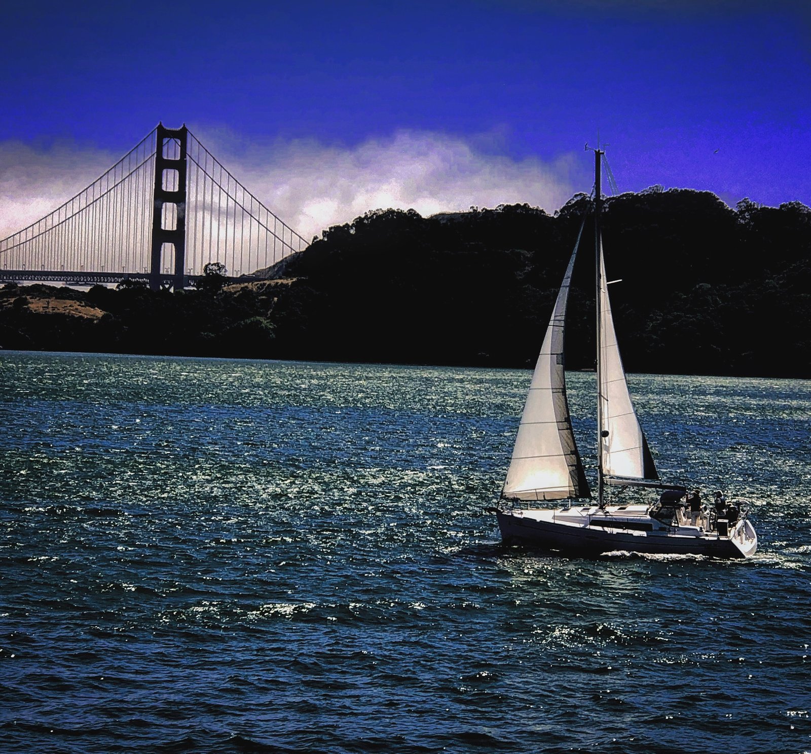 San Francisco. 23 July 19. Copyright, Alarice Multimedia, LLC.