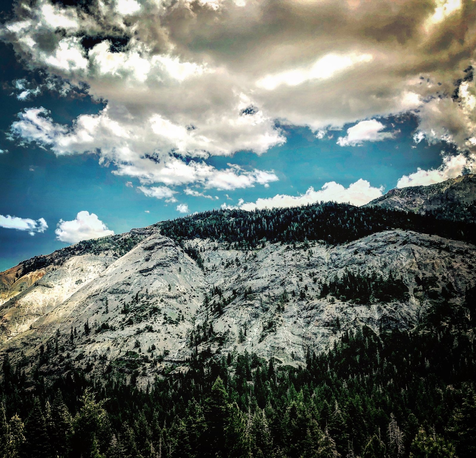 Bear Valley, CA. 23 July 19. Copyright, Alarice Multimedia, LLC.