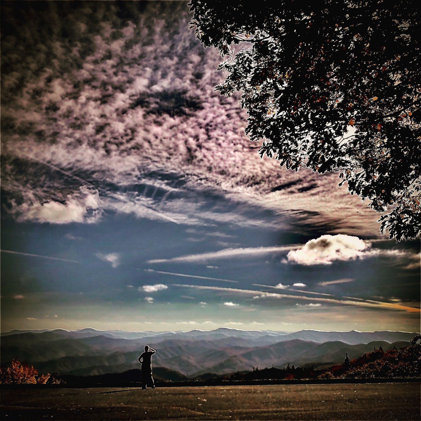Lana Scott. Blue Ridge Parkway. 28 October 19.