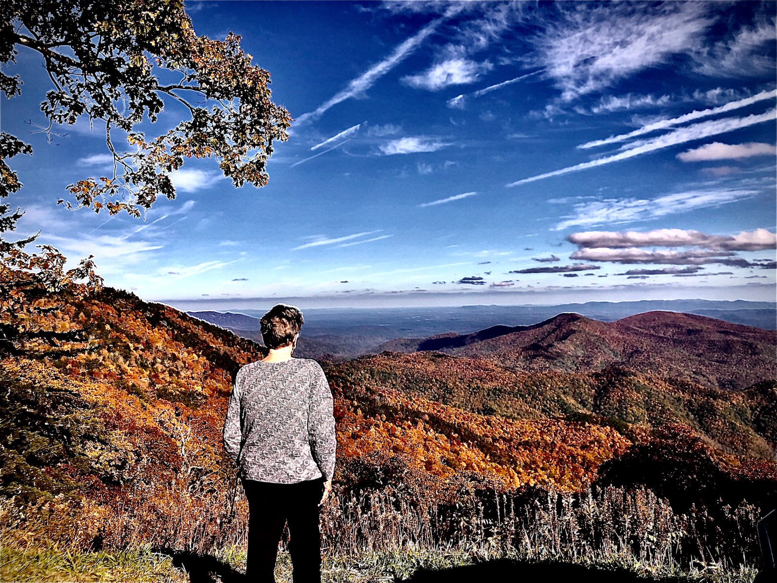 Kaye Scott. Blue Ridge Parkway. 28 October 19.
