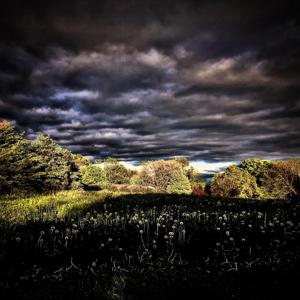 Dusk. Sheffield, Illinois. May 2020.